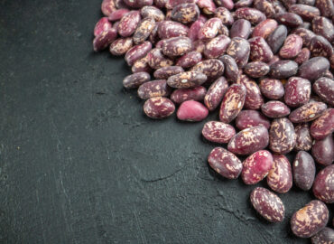 Haricot Bean