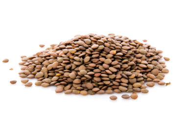 Lentil Seed