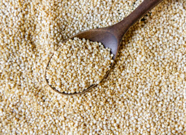 Sesame Seeds